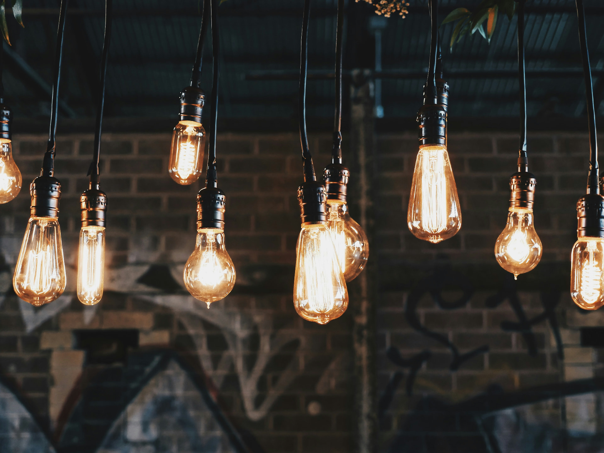 Modern hanging light bulbs